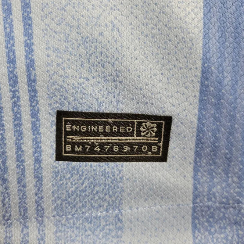24-25 Tottenham Hotspur Away Jersey