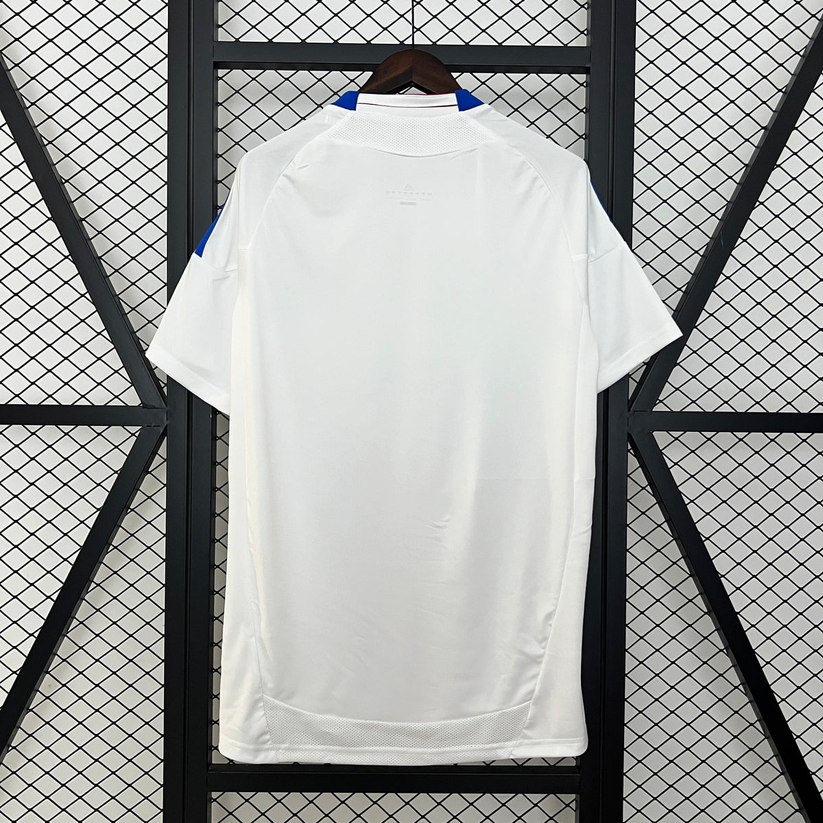 10/11 Lyon Home Retro Jersey