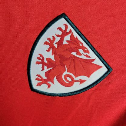 24-25 Welsh Home Jersey
