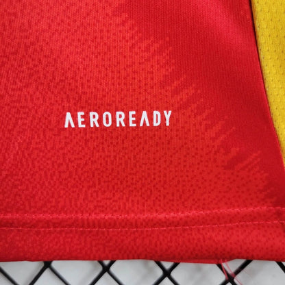 24-25 Spain Home Jersey