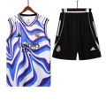 25/26 Real Madrid Mixed Color Vest Kit
